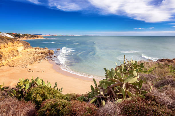 Beautiful coast of the ocean Algarve, 
