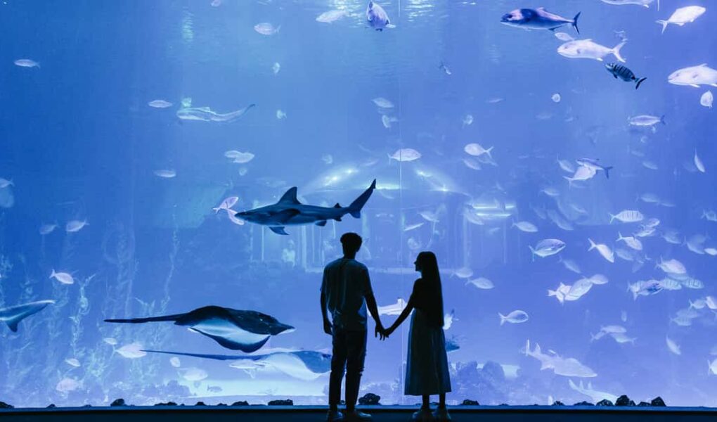 people standing in front of an aquarium