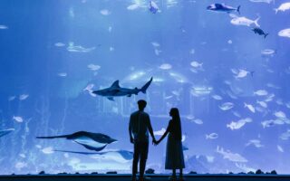 people standing in front of an aquarium