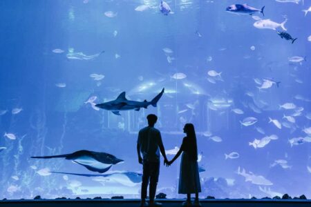 people standing in front of an aquarium