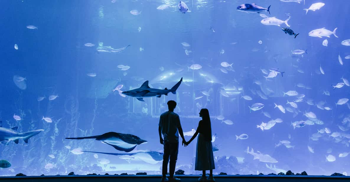 people standing in front of an aquarium